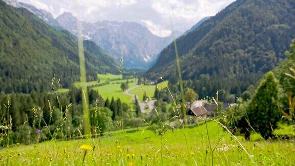 田园诗般的阿尔卑斯山山谷