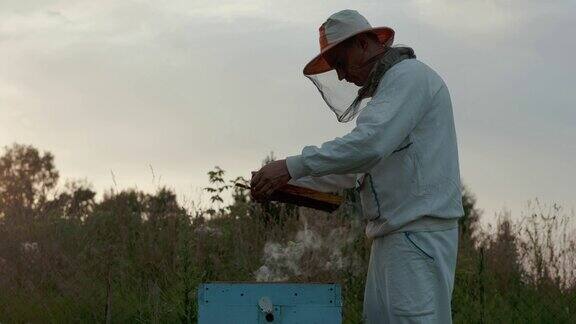养蜂人在保护养蜂人的野兽中照顾蜜蜂