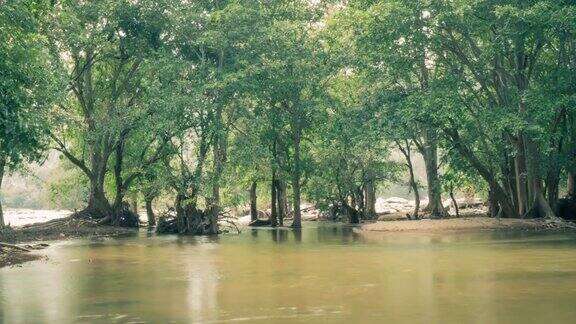河流穿过雨林-时间流逝