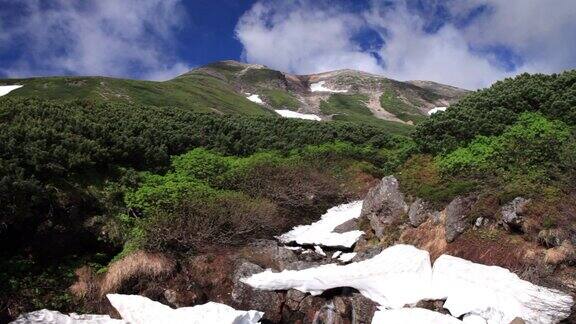 雲が湧く乗鞍岳の位ヶ原の新緑と残雪