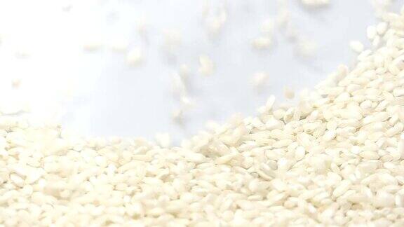 阿博里奥水稻在白色的背景下从顶部和填充框架慢镜头96帧秒