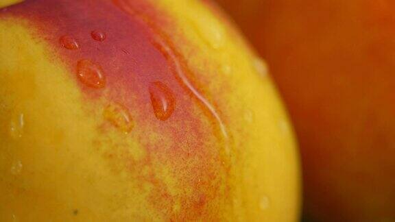 一滴水从成熟的黄色油桃表面流下的特写镜头