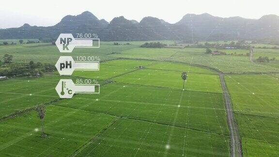 稻田与未来电网和HUD智能农场面板在日落鸟瞰帕迪