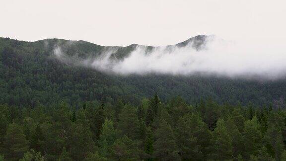 挪威的自然和森林在挪威西海岸
