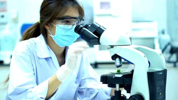 女性植物学家在实验室用显微镜观察植物生长生活