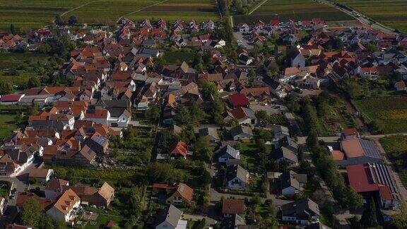 鸟瞰图周围的村庄和葡萄园在德国莱茵兰