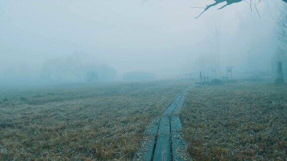 清晨林间小路上的雾