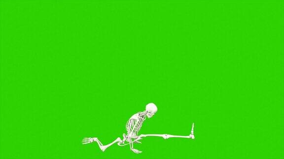 骷髅跳舞在绿色屏幕上无缝循环动画