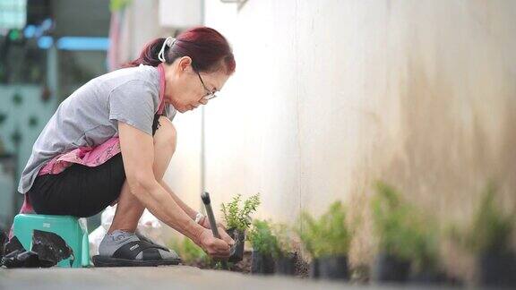 亚洲女性在她的家/院子植树栽培植物