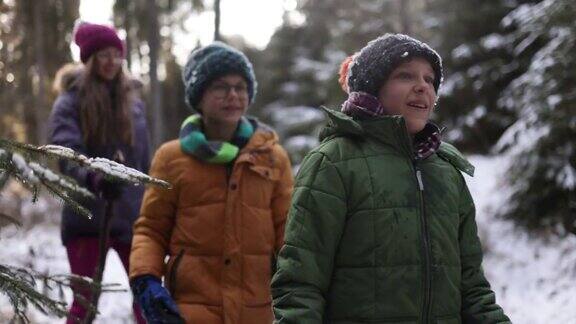 孩子们在冬天探索美丽的森林