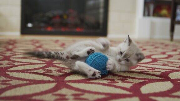 一只毛茸茸的小猫在花纹地毯上玩着毛线团背景是壁炉