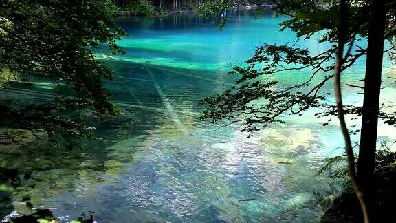 Blausee(湖蓝色)