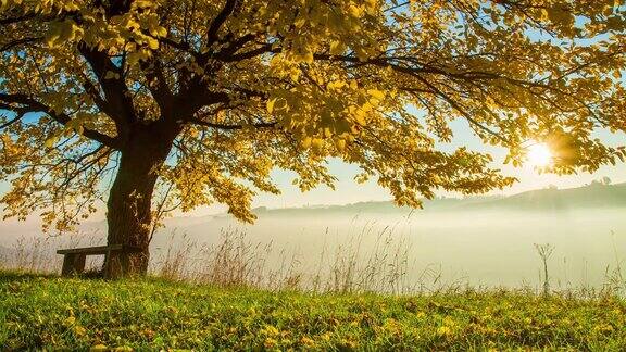 日出时长凳在秋天的树下
