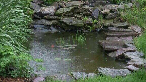 雨