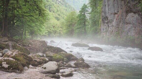 雾蒙蒙的日出时分在森林岩石海岸之间流淌的山间河流
