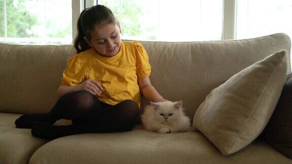一个可爱的小女孩喜欢她的苏格兰折猫坐在家里的沙发上的4K视频片段