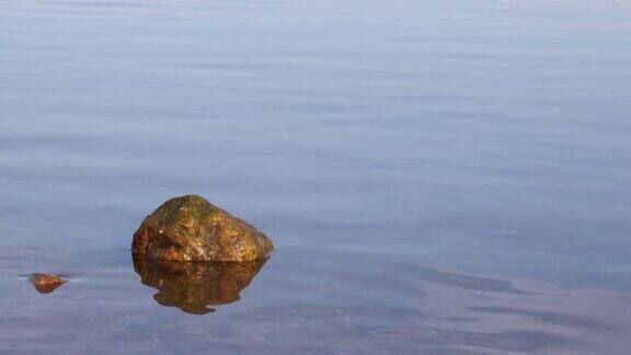 在落日的照耀下潮湿的小岩石在平静的水中反射