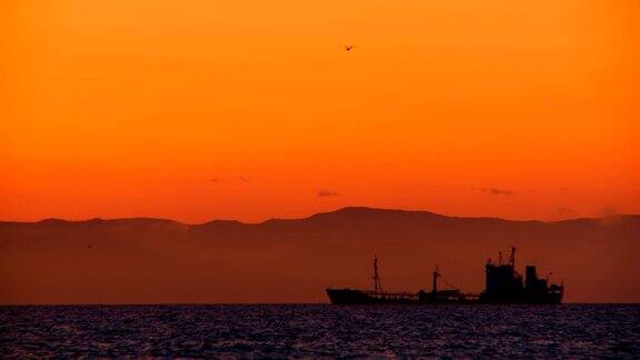 一艘巨大的货船在夕阳的黄色光芒中漂浮在海上