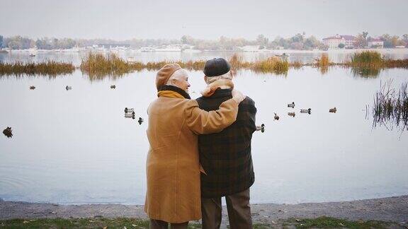 秋日一对相爱的老夫妇站在河边拥抱着交谈着鸭子和海鸥在河边游动