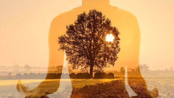 日出时在草地中央的一棵树上女人在沉思
