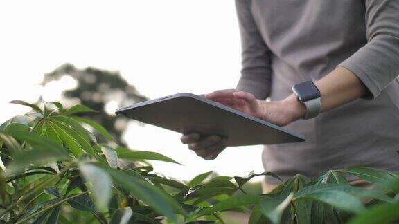 在农业中运用现代技术的智能农业