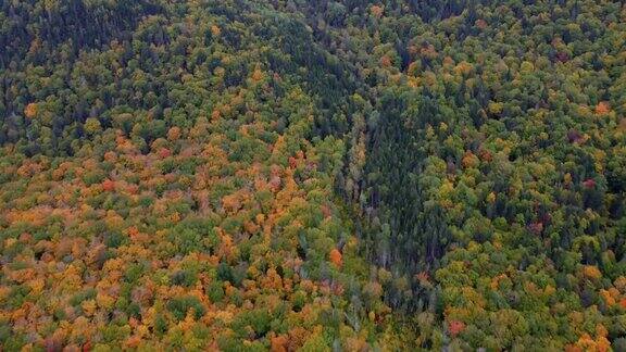 加拿大Québec的拉毛里西国家公园的秋色