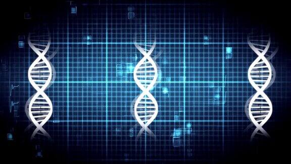 DNA双螺旋结构和心率