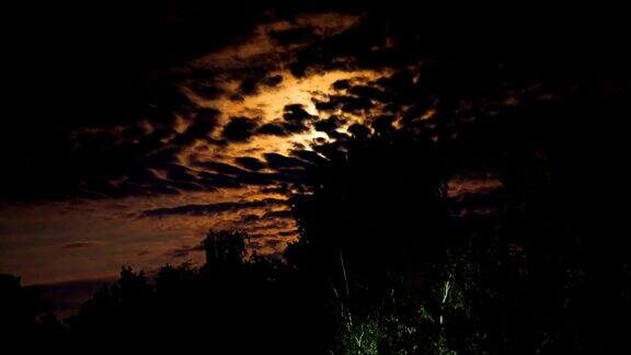 夜晚的月亮升起在地平线上树木在夜晚的星星和云的背景
