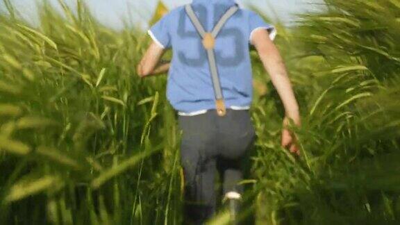 男孩在绿色的田野里奔跑