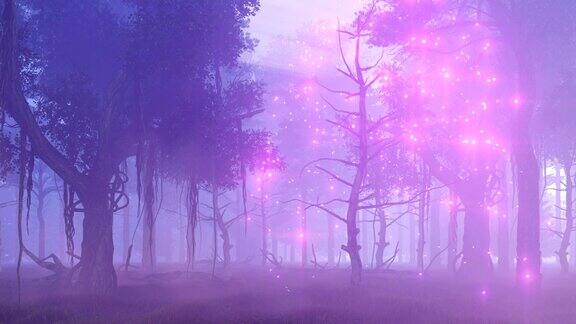 萤火虫在神奇的迷雾森林里在夜晚发光