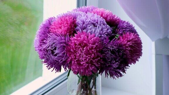 紫菀花的花瓶
