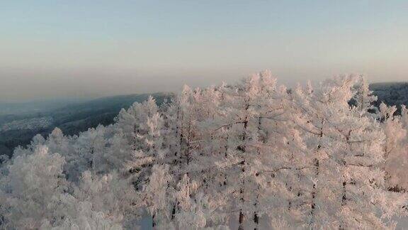 日落时分无人机飞过白雪覆盖的松林