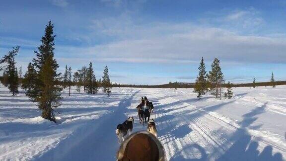 狗拉着雪橇穿过冬天的风景
