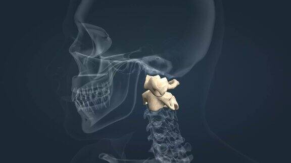 寰椎是最上面的椎体与轴一起形成连接颅骨和脊柱的关节