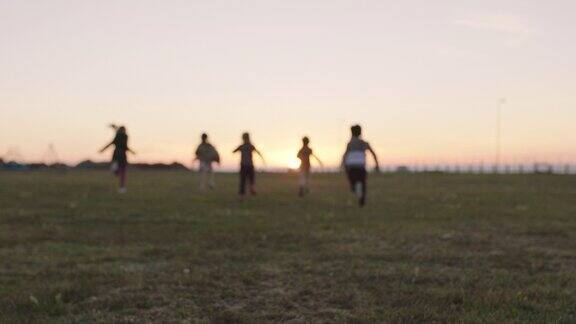 一群快乐的孩子在夕阳下的草地上奔跑玩耍一起享受有趣的游戏