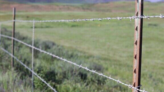 铁丝网栅栏和微风中的绿草地