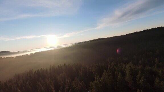 在晨雾中飞过薄雾的森林在日出时阳光照射在树梢航拍在fpv无人机云朵自然景观与山地丘陵地形电影的看法