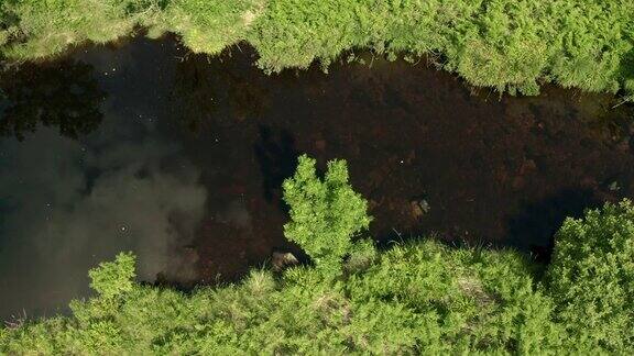 夏日里一架无人机正从苏格兰一条小河上空飞过时拍摄的鸟瞰图