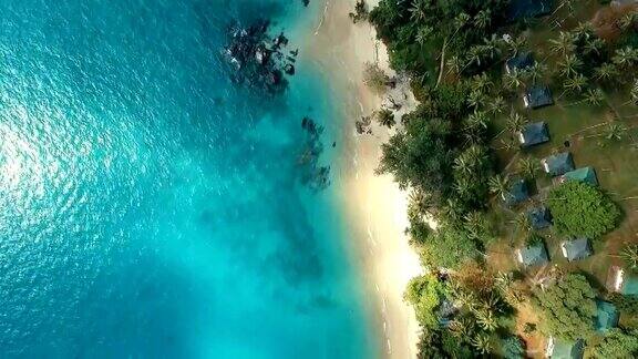 航拍:棕榈野海滩