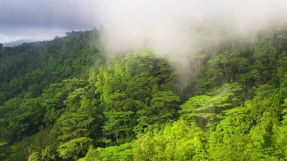 热带山地景观