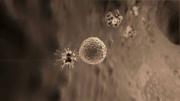 淋巴细胞攻击病毒