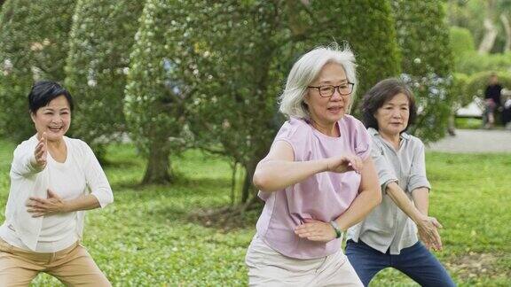 活跃的老年妇女在公园打太极