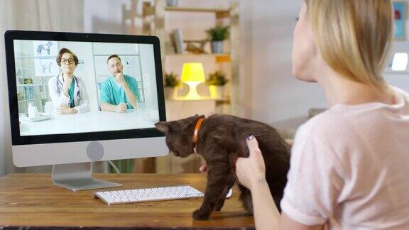 一名女子向网络兽医展示猫咪并寻求建议