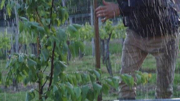 一位男性农民在雨中为种植的果树铲土农民用铁锹在多雨的果园里种植果树