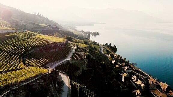 从空中俯瞰日内瓦湖附近的葡萄园