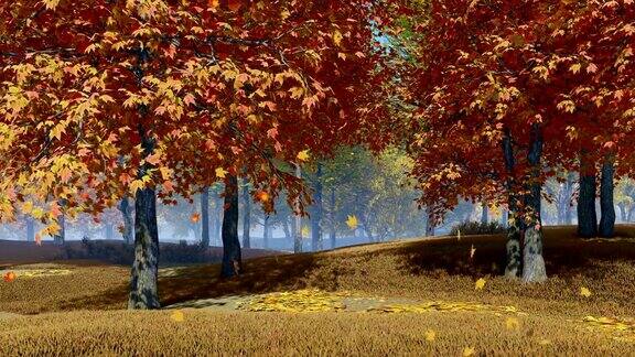 秋天的森林景观与飘落的枫叶