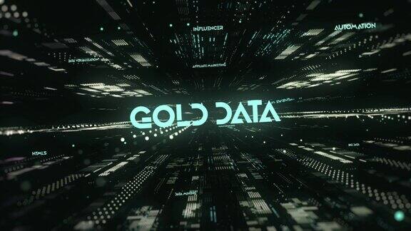 数字数据技术词汇黄金数据