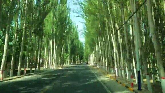 和田是新疆维吾尔自治区白杨树大道