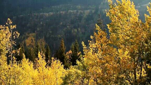 蒙大拿山区的秋天