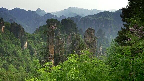 中国湖南张家界武陵源风景区的悬崖4K超高清